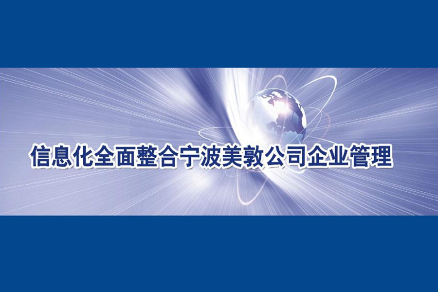 宁波美敦ERP项目