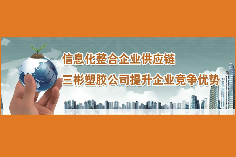 东莞三彬塑胶ERP项目