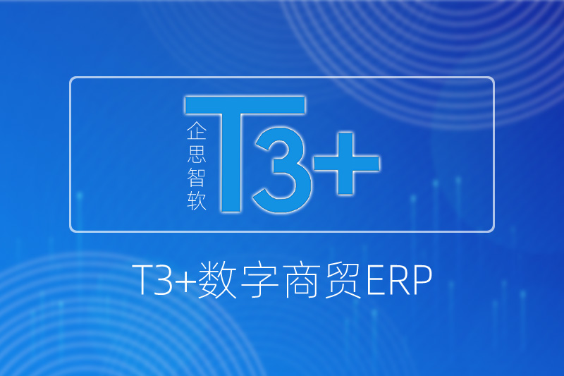 T3+数字商贸ERP